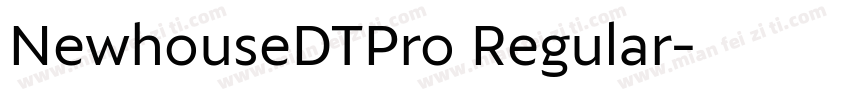 NewhouseDTPro Regular字体转换